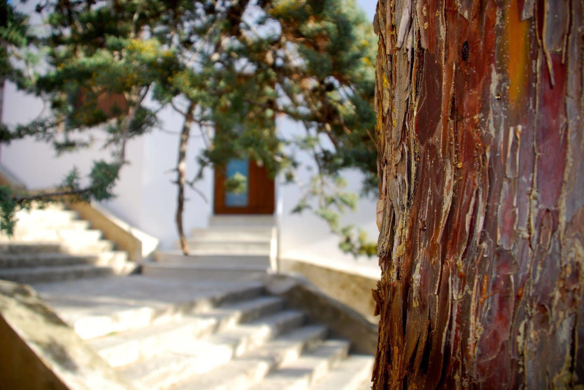 Apartamento Rural Castillo De Yeste 2 Pax (Adults Only) Eksteriør bilde